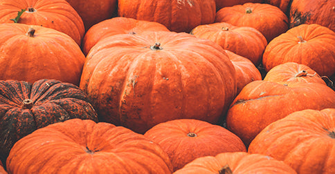 The Boundless Benefits of Pumpkin