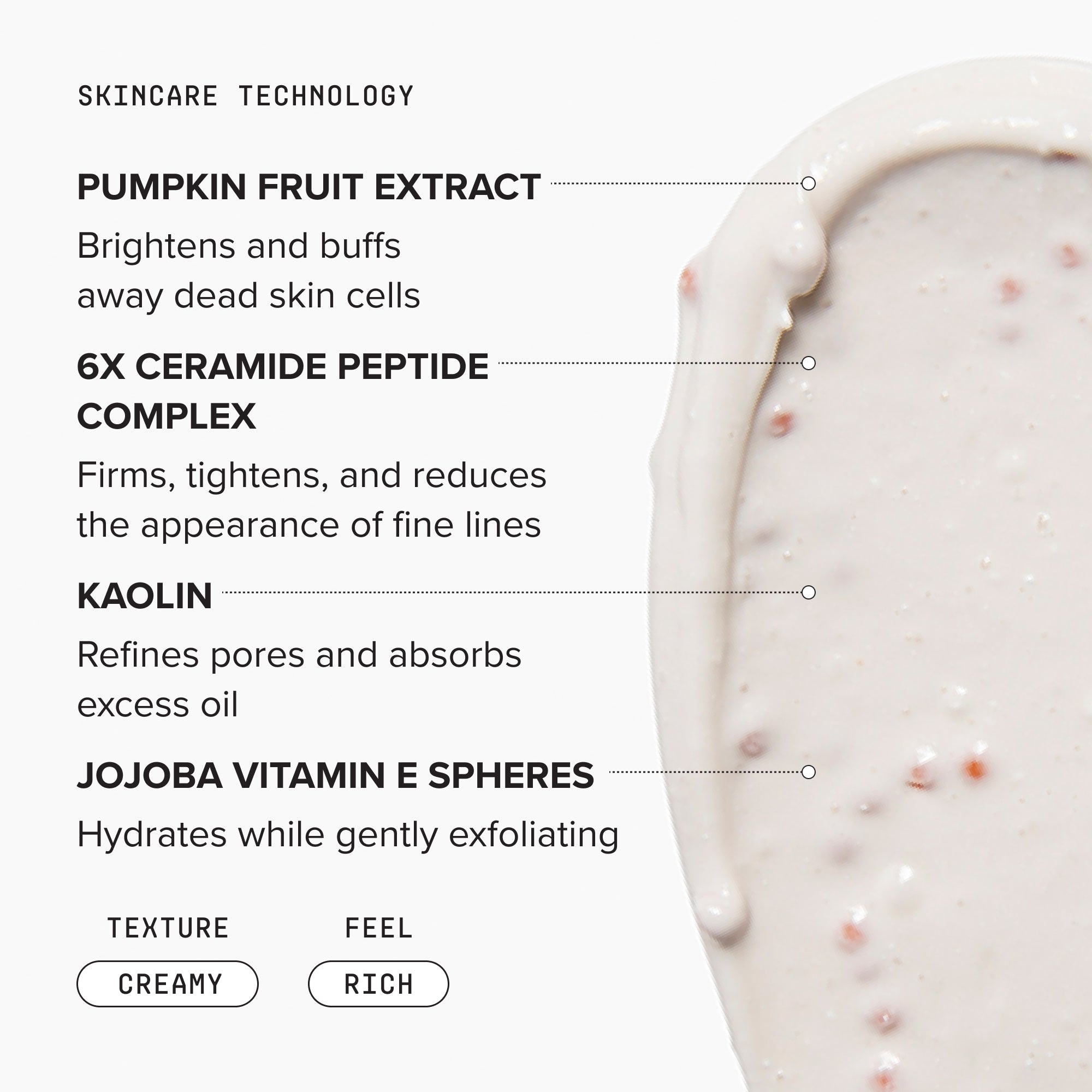 Pumpkin Enzyme Mask – DRMTLGY