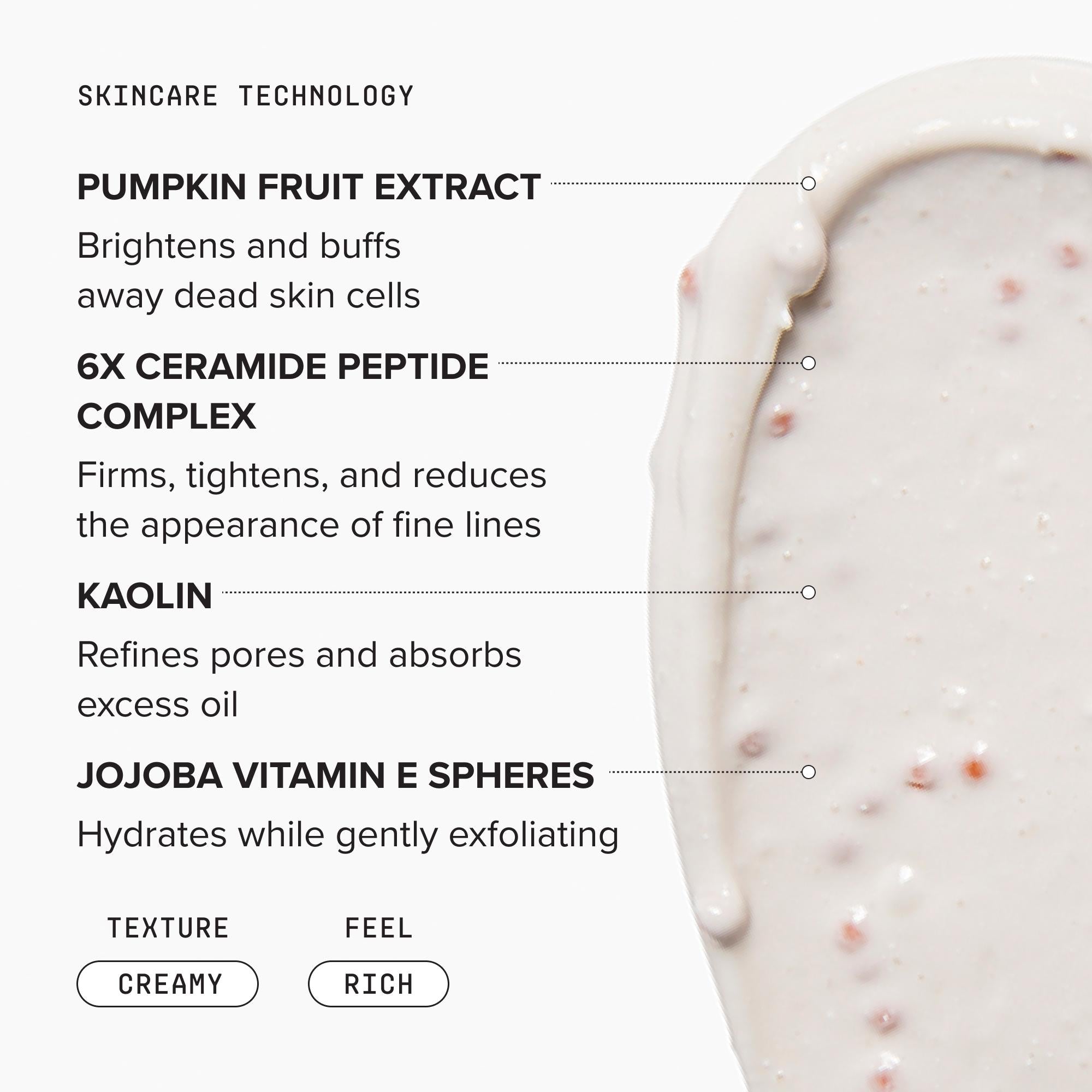 Mini Pumpkin Enzyme Mask – DRMTLGY